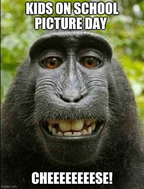 Cheese | KIDS ON SCHOOL PICTURE DAY; CHEEEEEEEESE! | image tagged in smile | made w/ Imgflip meme maker