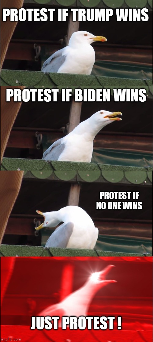 Seriously , people ? | PROTEST IF TRUMP WINS; PROTEST IF BIDEN WINS; PROTEST IF NO ONE WINS; JUST PROTEST ! | image tagged in memes,inhaling seagull,protest,everything,looters,rioting | made w/ Imgflip meme maker