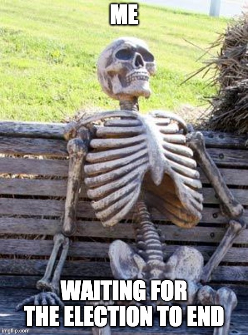 Waiting Skeleton | ME; WAITING FOR THE ELECTION TO END | image tagged in memes,waiting skeleton | made w/ Imgflip meme maker