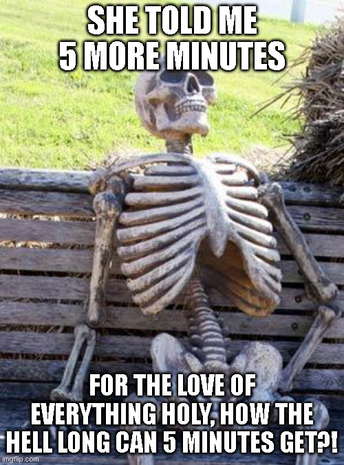 waiting on women sucks | SHE TOLD ME 5 MORE MINUTES; FOR THE LOVE OF EVERYTHING HOLY, HOW THE HELL LONG CAN 5 MINUTES GET?! | image tagged in memes,waiting skeleton | made w/ Imgflip meme maker