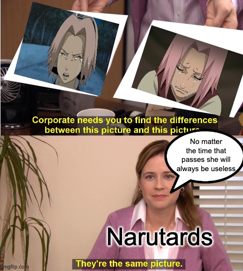 They're The Same Picture | No matter the time that passes she will always be useless; Narutards | image tagged in memes,they're the same picture,sakura,useless | made w/ Imgflip meme maker