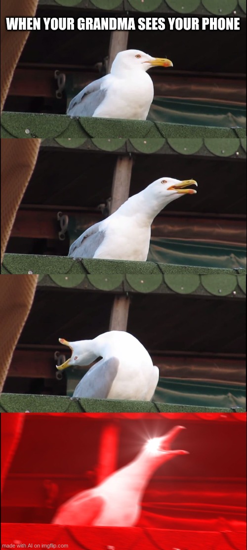 Inhaling Seagull | WHEN YOUR GRANDMA SEES YOUR PHONE | image tagged in memes,inhaling seagull,ai meme | made w/ Imgflip meme maker