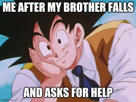 hi | ME AFTER MY BROTHER FALLS; AND ASKS FOR HELP | image tagged in memes,condescending goku | made w/ Imgflip meme maker
