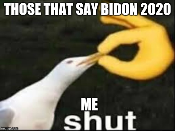 Real stuff here | THOSE THAT SAY BIDON 2020; ME | image tagged in donald trump | made w/ Imgflip meme maker