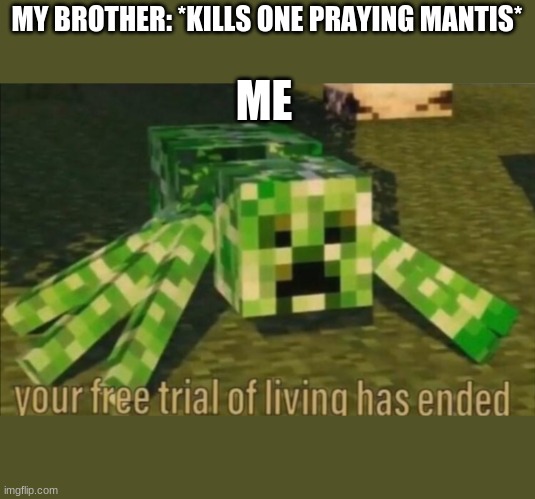 no killing mantises | MY BROTHER: *KILLS ONE PRAYING MANTIS*; ME | image tagged in your free trial of living has ended | made w/ Imgflip meme maker