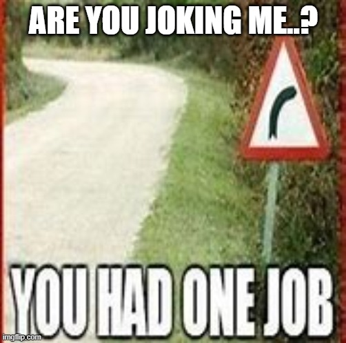 You only had 1 job | ARE YOU JOKING ME..? | made w/ Imgflip meme maker