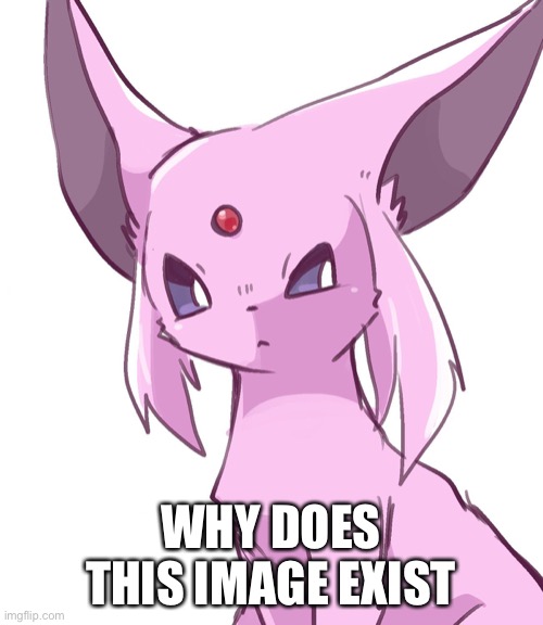WHY DOES THIS IMAGE EXIST | made w/ Imgflip meme maker
