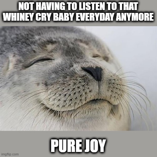 Satisfied Seal | NOT HAVING TO LISTEN TO THAT WHINEY CRY BABY EVERYDAY ANYMORE; PURE JOY | image tagged in memes,satisfied seal,politics,election 2020,joe biden,joy | made w/ Imgflip meme maker