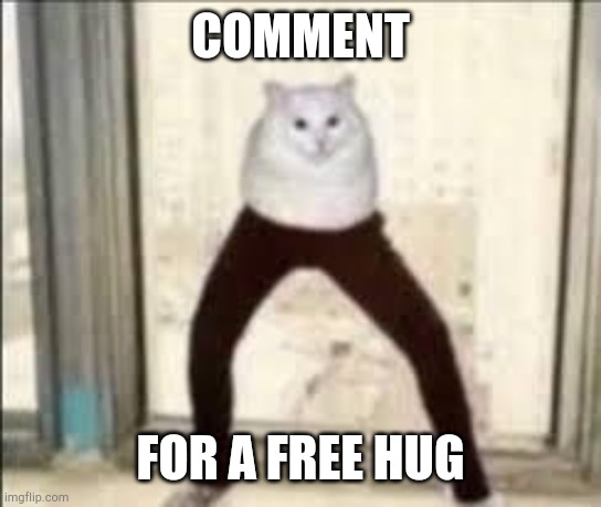 . | COMMENT; FOR A FREE HUG | made w/ Imgflip meme maker