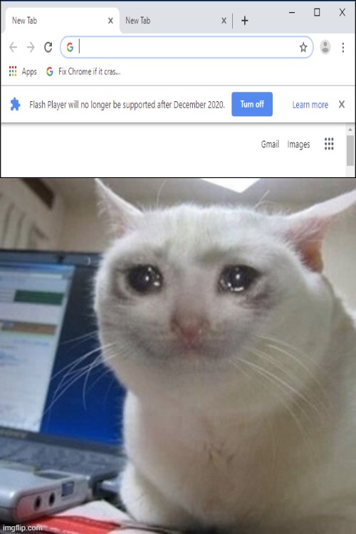 Crying cat | image tagged in crying cat | made w/ Imgflip meme maker