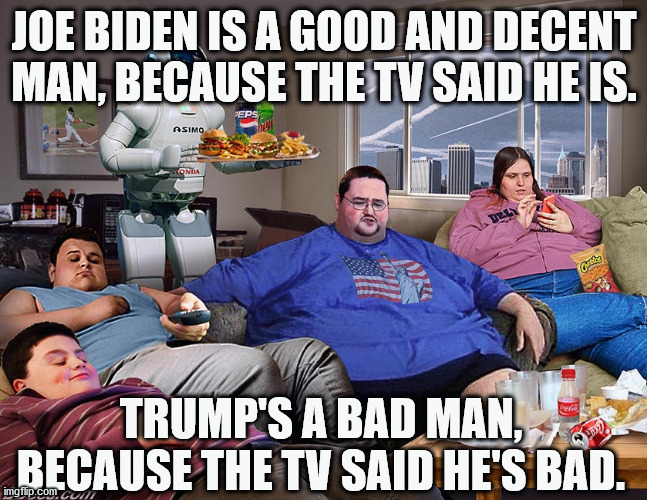 How Americans Make Their Voting Decisions | JOE BIDEN IS A GOOD AND DECENT MAN, BECAUSE THE TV SAID HE IS. TRUMP'S A BAD MAN, BECAUSE THE TV SAID HE'S BAD. | image tagged in trump,biden,election | made w/ Imgflip meme maker