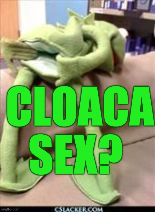 Gay kermit | CLOACA SEX? | image tagged in gay kermit | made w/ Imgflip meme maker