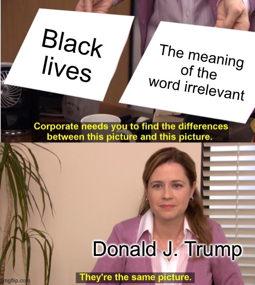 Bruh | Black lives; The meaning of the word irrelevant; Donald J. Trump | image tagged in memes,they're the same picture | made w/ Imgflip meme maker