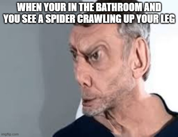 noice | WHEN YOUR IN THE BATHROOM AND YOU SEE A SPIDER CRAWLING UP YOUR LEG | image tagged in noice | made w/ Imgflip meme maker