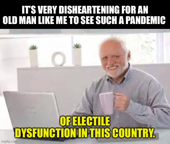 Electile Dysfunction | IT’S VERY DISHEARTENING FOR AN OLD MAN LIKE ME TO SEE SUCH A PANDEMIC; OF ELECTILE DYSFUNCTION IN THIS COUNTRY. | image tagged in harold | made w/ Imgflip meme maker