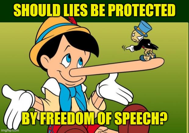 Liar | SHOULD LIES BE PROTECTED; BY FREEDOM OF SPEECH? | image tagged in liar | made w/ Imgflip meme maker