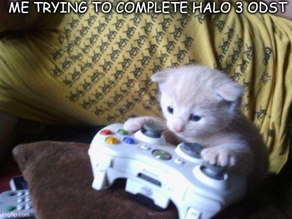 cute kitty on xbox | ME TRYING TO COMPLETE HALO 3 ODST | image tagged in cute kitty on xbox | made w/ Imgflip meme maker