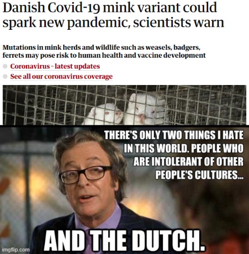 The Dirty Damn Dutch | image tagged in covid-19,austin powers,funny memes,dark humor | made w/ Imgflip meme maker