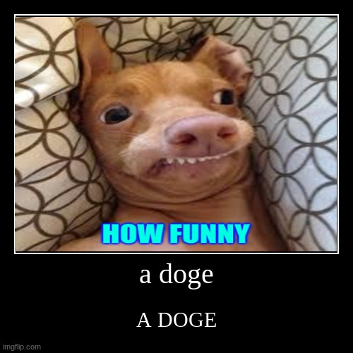 image tagged in funny,demotivationals | made w/ Imgflip demotivational maker
