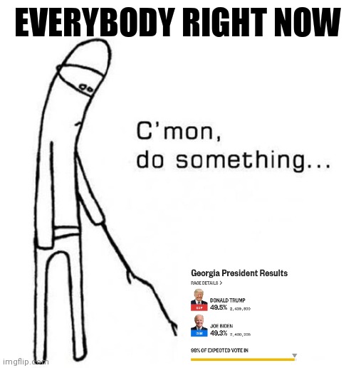 President Elections 2020 in Georgia | EVERYBODY RIGHT NOW | image tagged in cmon do something | made w/ Imgflip meme maker