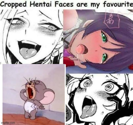 yeth | image tagged in cropped hentai faces are my favourite | made w/ Imgflip meme maker