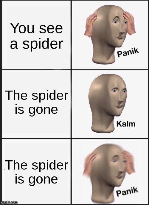 Ohh no | You see a spider; The spider is gone; The spider is gone | image tagged in memes,panik kalm panik | made w/ Imgflip meme maker