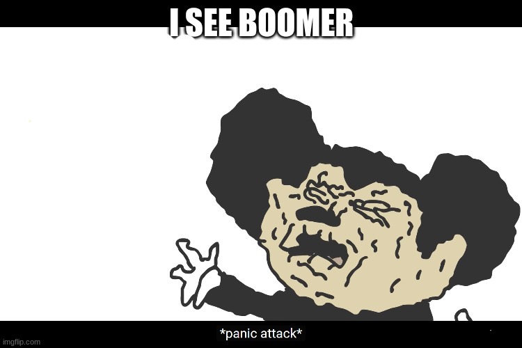 Panic Attack Mokey | I SEE BOOMER | image tagged in panic attack mokey | made w/ Imgflip meme maker