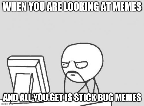 i hate the stick bug meme | WHEN YOU ARE LOOKING AT MEMES; AND ALL YOU GET IS STICK BUG MEMES | image tagged in memes,computer guy | made w/ Imgflip meme maker