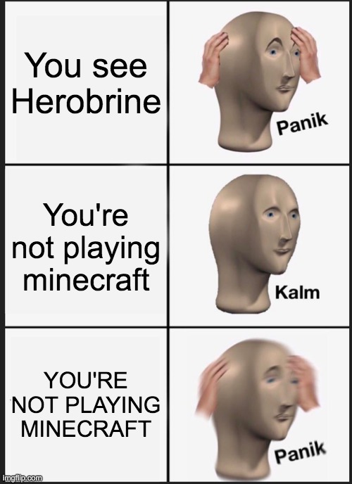 Panik Kalm Panik Meme | You see Herobrine; You're not playing minecraft; YOU'RE NOT PLAYING MINECRAFT | image tagged in minecraft | made w/ Imgflip meme maker