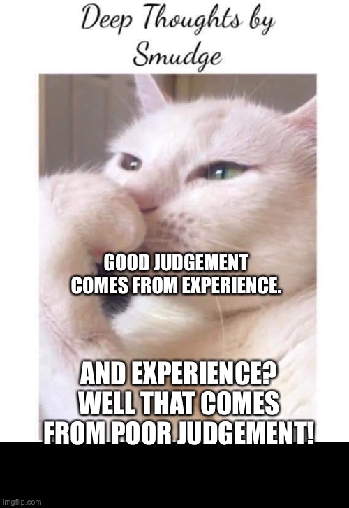 Deep thoughts | GOOD JUDGEMENT COMES FROM EXPERIENCE. AND EXPERIENCE? WELL THAT COMES FROM POOR JUDGEMENT! | image tagged in deep-thoughts-by-smudge | made w/ Imgflip meme maker