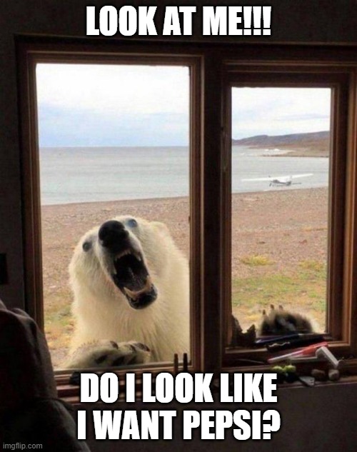 Coke Polar Bear | LOOK AT ME!!! DO I LOOK LIKE I WANT PEPSI? | image tagged in coca cola,polar bear | made w/ Imgflip meme maker