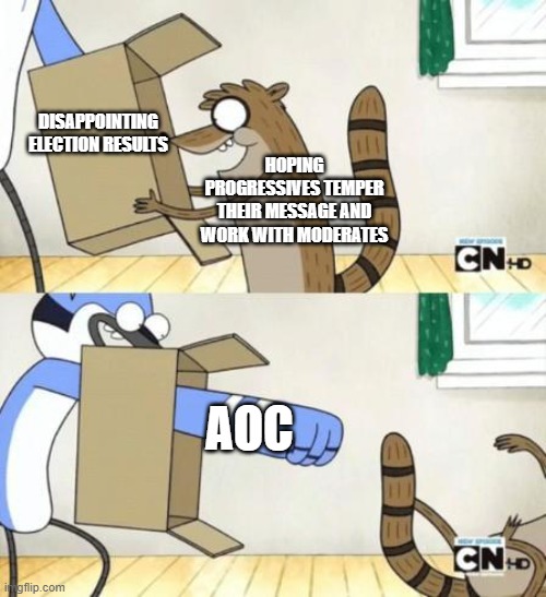 Mordecai Punches Rigby Through a Box | DISAPPOINTING ELECTION RESULTS; HOPING PROGRESSIVES TEMPER THEIR MESSAGE AND WORK WITH MODERATES; AOC | image tagged in mordecai punches rigby through a box,neoliberal | made w/ Imgflip meme maker