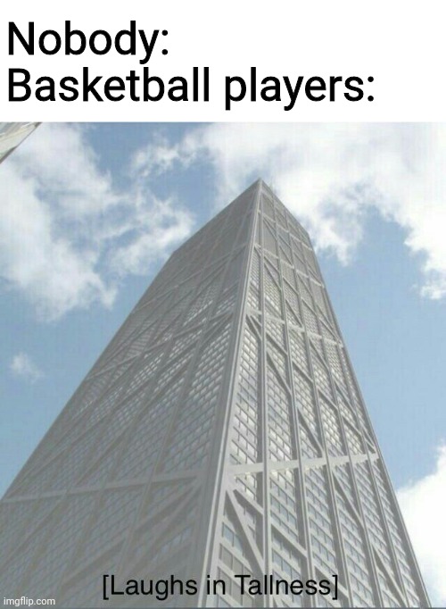 Laughs in Tallness | Nobody:
Basketball players: | image tagged in laughs in tallness | made w/ Imgflip meme maker