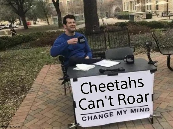 Change My Mind | Cheetahs Can't Roar | image tagged in memes,change my mind,cats,cheetah | made w/ Imgflip meme maker