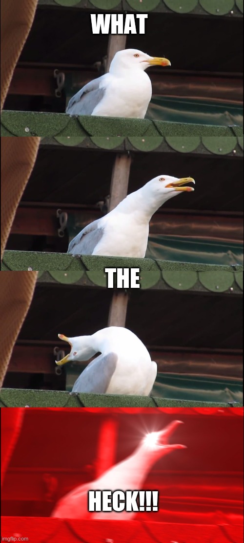 Inhaling Seagull Meme | WHAT THE HECK!!! | image tagged in memes,inhaling seagull | made w/ Imgflip meme maker