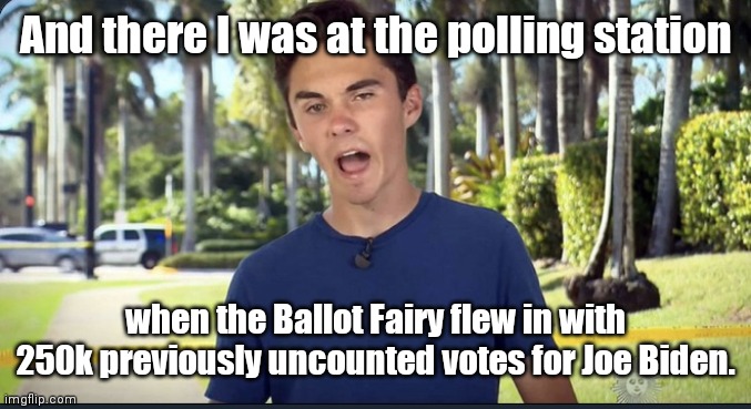 "Eye-witness" Ballot testimony | And there I was at the polling station; when the Ballot Fairy flew in with 250k previously uncounted votes for Joe Biden. | image tagged in david hogg,election 2020,election fraud,democrat corruption,satire | made w/ Imgflip meme maker