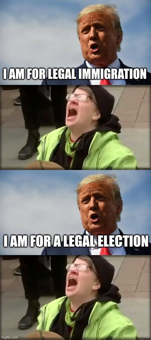 Irrational Libs | I AM FOR LEGAL IMMIGRATION; I AM FOR A LEGAL ELECTION | image tagged in donald trump,trump sjw no,election 2020 | made w/ Imgflip meme maker