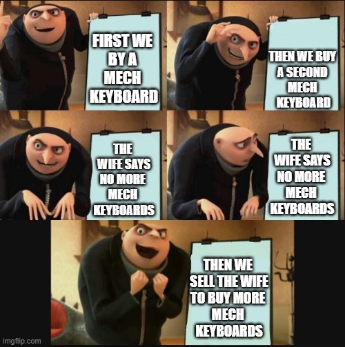Mech keyboad paln | THEN WE BUY 
A SECOND 
MECH 
KEYBOARD; FIRST WE 
BY A 
MECH 
KEYBOARD; THE 
WIFE SAYS
NO MORE 
MECH 
KEYBOARDS; THE 
WIFE SAYS
NO MORE 
MECH 
KEYBOARDS; THEN WE 
SELL THE WIFE
TO BUY MORE 
MECH 
KEYBOARDS | image tagged in gru 5 panel plan | made w/ Imgflip meme maker