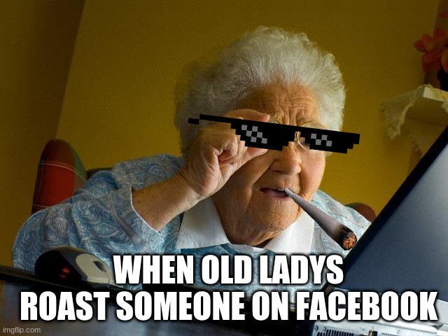 oh dang | WHEN OLD LADYS ROAST SOMEONE ON FACEBOOK | image tagged in memes,grandma finds the internet,roast,facebook | made w/ Imgflip meme maker