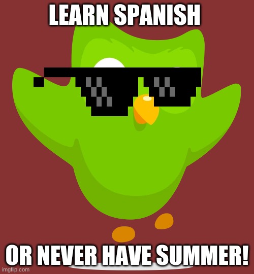 Summer's gone! | LEARN SPANISH; OR NEVER HAVE SUMMER! | image tagged in i will stock you | made w/ Imgflip meme maker