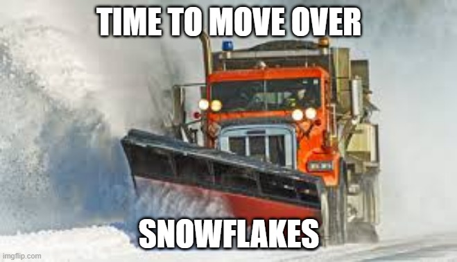 move over snow flakes | TIME TO MOVE OVER; SNOWFLAKES | image tagged in snowflakes | made w/ Imgflip meme maker
