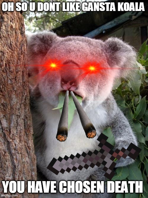 Surprised Koala Meme | OH SO U DONT LIKE GANSTA KOALA; YOU HAVE CHOSEN DEATH | image tagged in memes,surprised koala | made w/ Imgflip meme maker