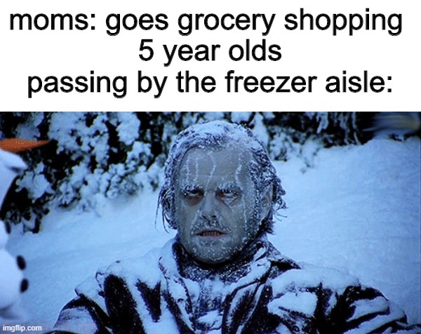 thats why I would always take a jacket with me | moms: goes grocery shopping 
5 year olds passing by the freezer aisle: | image tagged in freezing cold | made w/ Imgflip meme maker