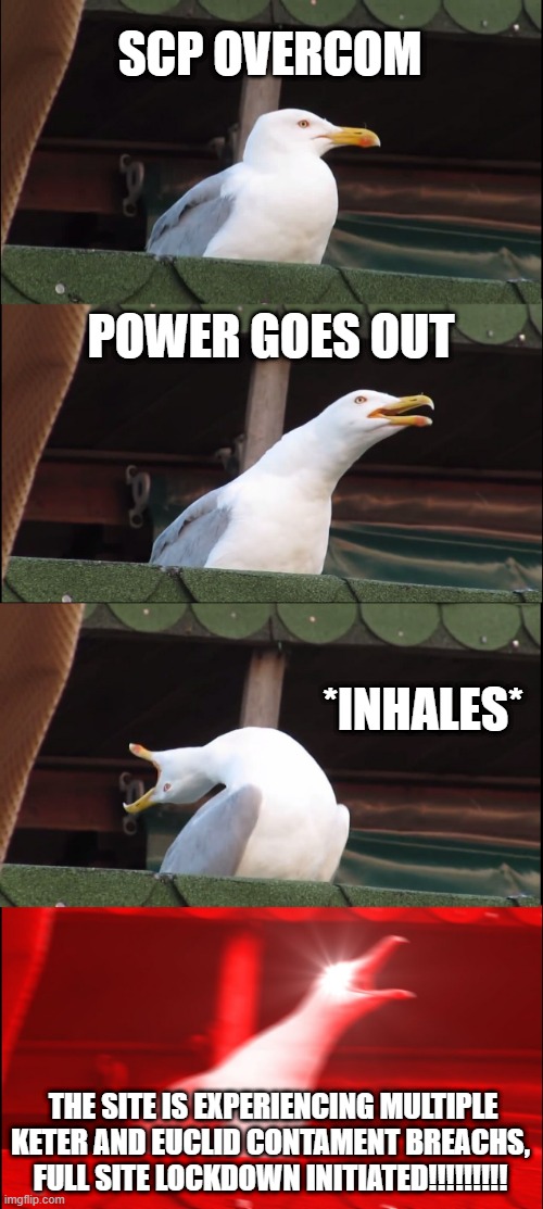 Inhaling Seagull | SCP OVERCOM; POWER GOES OUT; *INHALES*; THE SITE IS EXPERIENCING MULTIPLE KETER AND EUCLID CONTAMENT BREACHS, FULL SITE LOCKDOWN INITIATED!!!!!!!!! | image tagged in memes,inhaling seagull | made w/ Imgflip meme maker