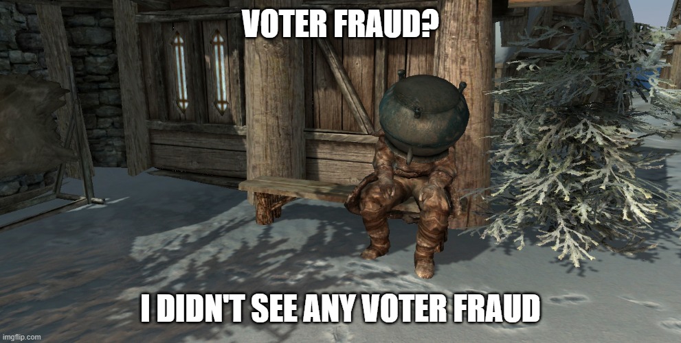 Voter Fraud | VOTER FRAUD? I DIDN'T SEE ANY VOTER FRAUD | image tagged in voter fraud | made w/ Imgflip meme maker