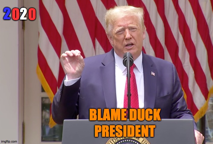 Blame Duck 2020 Trump | 2; 2; PRESIDENT; BLAME DUCK | image tagged in holding tiny roach,blame,duck,trump,bye,felicia | made w/ Imgflip meme maker