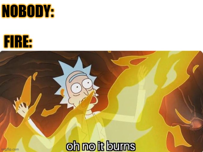 Fire | NOBODY:; FIRE: | image tagged in oh no it burns rick and morty,memes,fire,meme,burns,burn | made w/ Imgflip meme maker