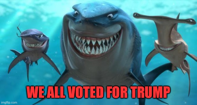 Fish are friends not food | WE ALL VOTED FOR TRUMP | image tagged in fish are friends not food | made w/ Imgflip meme maker