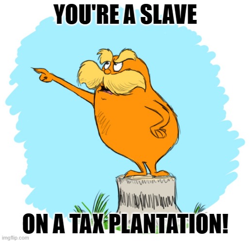 This MF Spittin'!!! | YOU'RE A SLAVE; ON A TAX PLANTATION! | image tagged in the lorax | made w/ Imgflip meme maker