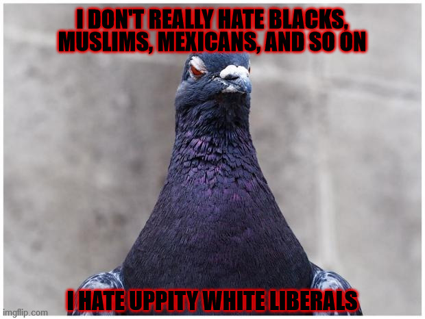 Which is apparently the same thing. | I DON'T REALLY HATE BLACKS, MUSLIMS, MEXICANS, AND SO ON; I HATE UPPITY WHITE LIBERALS | image tagged in hatred pigeon,racism,islamophobia,white supremacy,smug,liberals | made w/ Imgflip meme maker